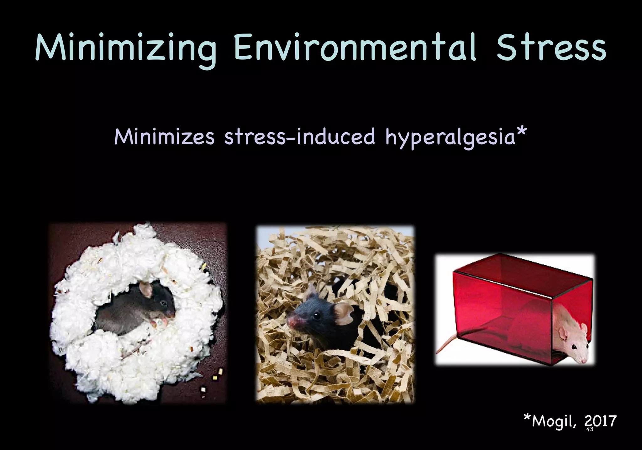 Minimizing Environmental Stress
43
Minimizes stress-induced hyperalgesia*
*Mogil, 2017
 