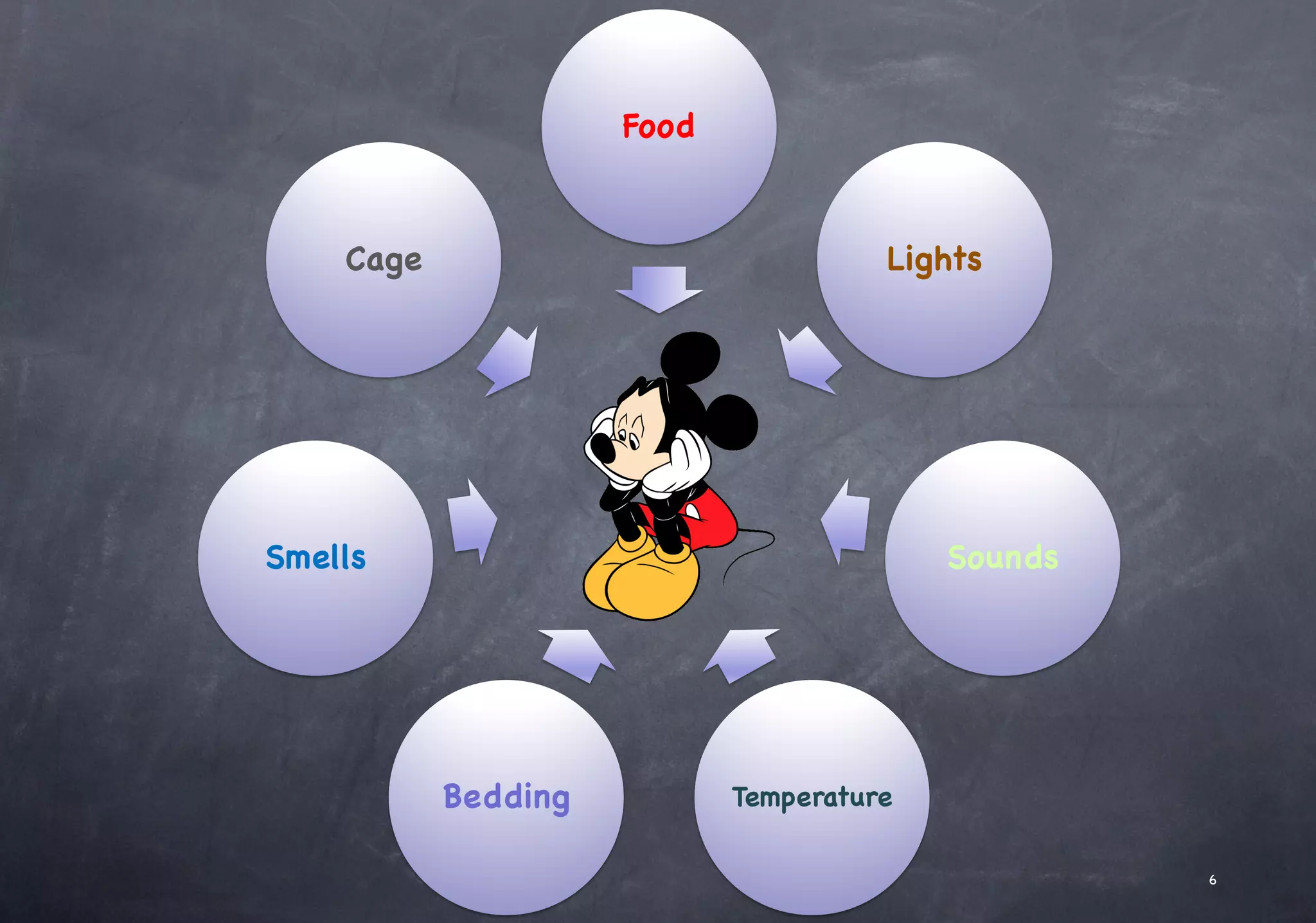 Food
Lights
Sounds
Temperature
Bedding
Smells
Cage
6
 