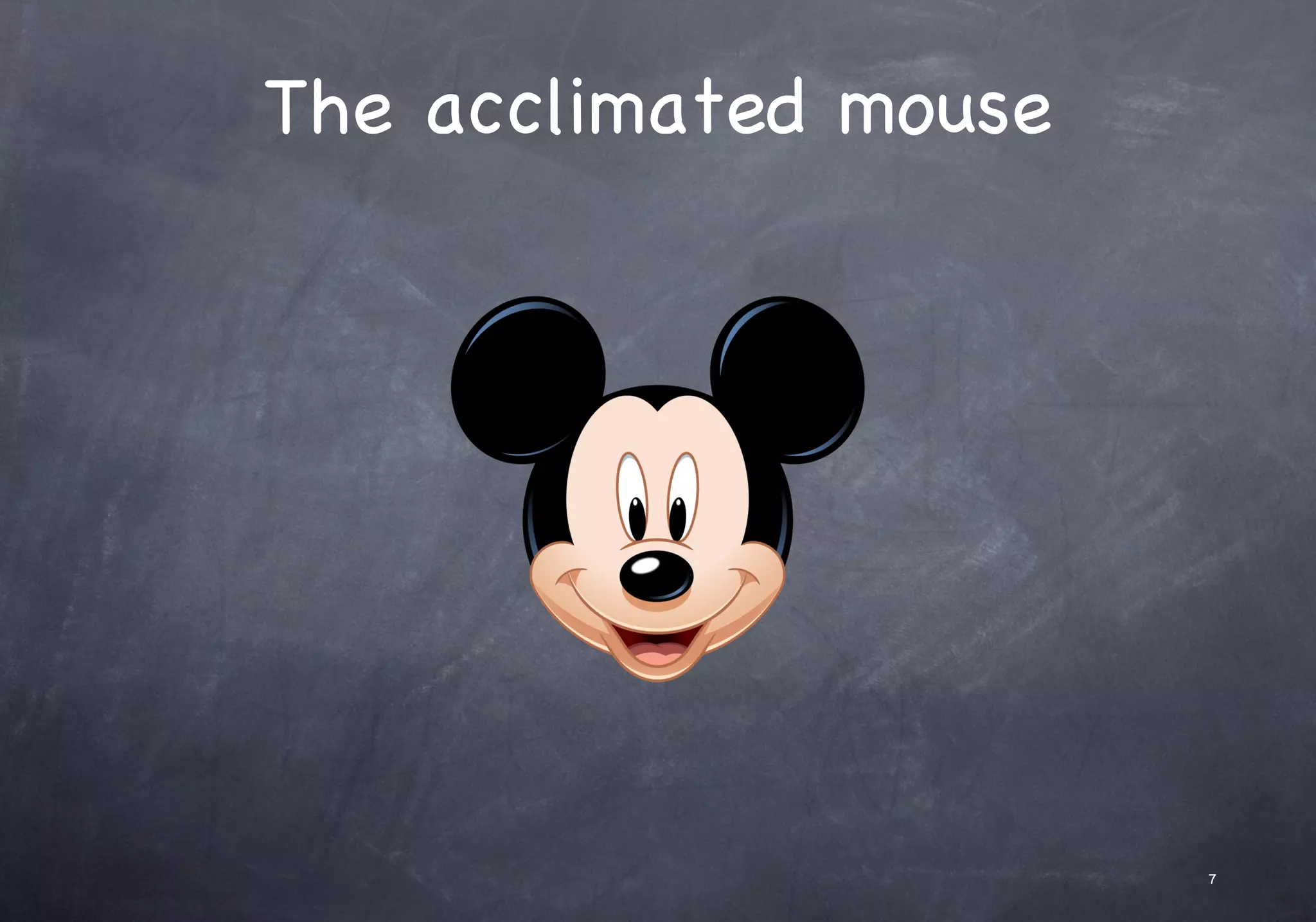 The acclimated mouse
7
 