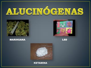 MARIHUANA LSD
KETAMINA
 
