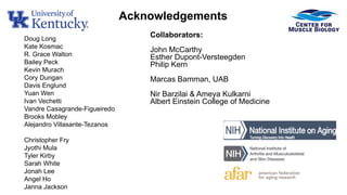 The Challenges of Sarcopenia: Definition, Underlying Mechanisms ...