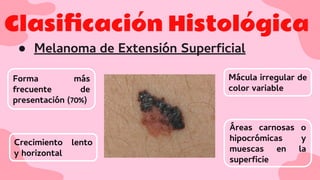 Clasiﬁcación Histológica
● Melanoma de Extensión Superﬁcial
Forma más
frecuente de
presentación (70%)
Crecimiento lento
y horizontal
Mácula irregular de
color variable
Áreas carnosas o
hipocrómicas y
muescas en la
superﬁcie
 
