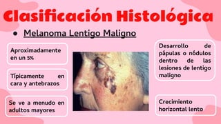 Clasiﬁcación Histológica
● Melanoma Lentigo Maligno
Aproximadamente
en un 5%
Desarrollo de
pápulas o nódulos
dentro de las
lesiones de lentigo
maligno
Crecimiento
horizontal lento
Se ve a menudo en
adultos mayores
Típicamente en
cara y antebrazos
 