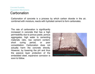Integral Crystalline Waterproofing Technology | PDF