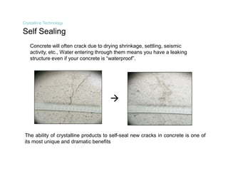 Integral Crystalline Waterproofing Technology | PDF