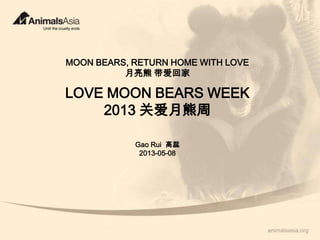 MOON BEARS, RETURN HOME WITH LOVE
月亮熊 带爱回家
LOVE MOON BEARS WEEK
2013 关爱月熊周
Gao Rui 高蕊
2013-05-08
 