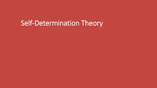 Self-Determination Theory
 