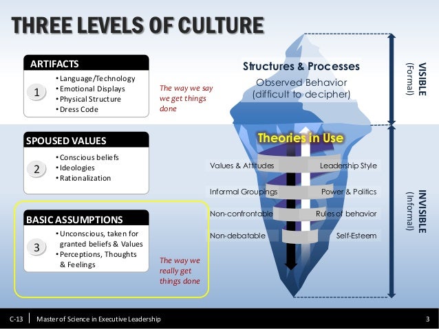 Levels of organizational culture