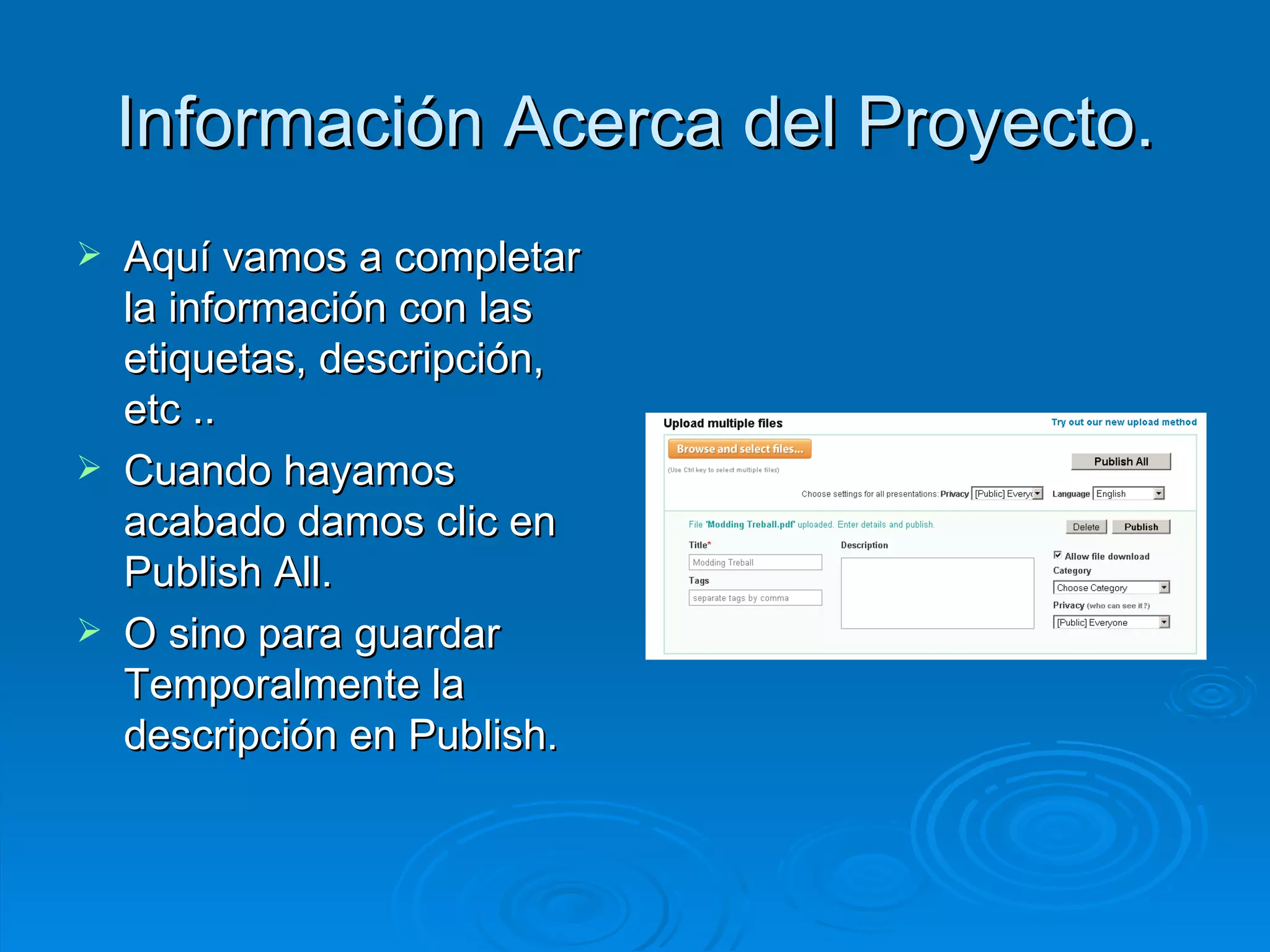 Información Acerca del Proyecto. Aquí vamos a completar la información con las etiquetas, descripción, etc ..  Cuando hayamos acabado damos clic en Publish All. O sino para guardar Temporalmente la descripción en Publish. 