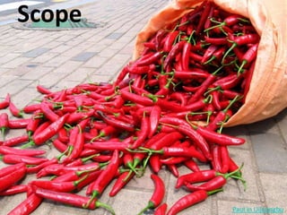 ScopePaul in Uijeongbu