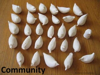 Communityhttp://www.flickr.com/photos/drewtolson