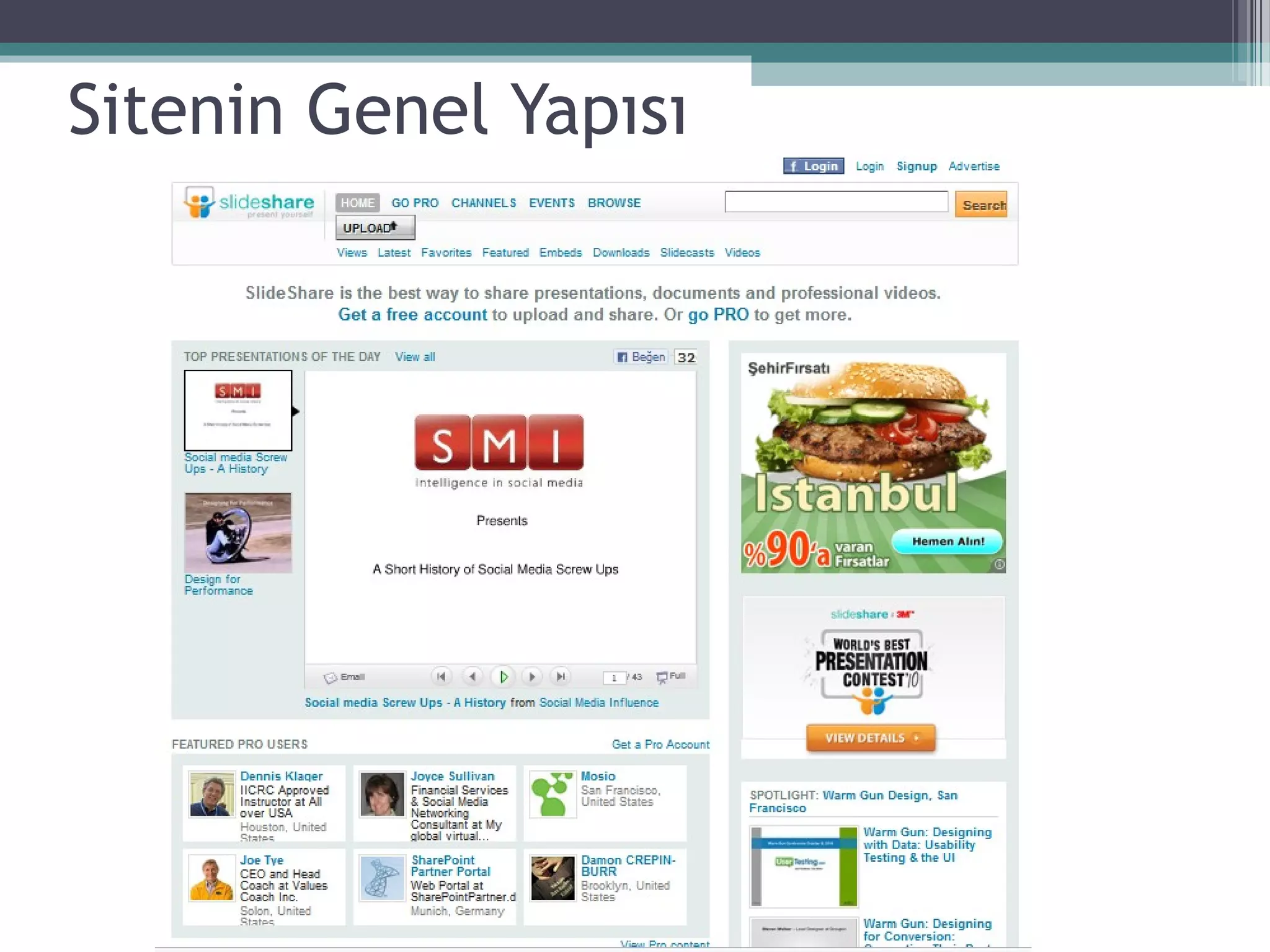 Sitenin Genel Yapısı
 