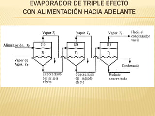 EVAPORADOR DE TRIPLE EFECTO
CON ALIMENTACIÓN HACIA ADELANTE
 