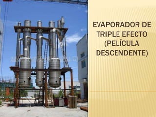 EVAPORADOR DE
TRIPLE EFECTO
(PELÍCULA
DESCENDENTE)
 