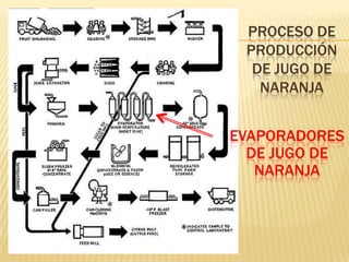 PROCESO DE
PRODUCCIÓN
DE JUGO DE
NARANJA
EVAPORADORES
DE JUGO DE
NARANJA
 