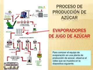 PROCESO DE
PRODUCCIÓN DE
AZÚCAR
EVAPORADORES
DE JUGO DE AZÚCAR
Para conocer el equipo de
evaporación en una planta de
producción de azúcar, observa el
video que se muestra en la
diapositiva siguiente.
 