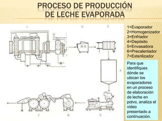 PROCESO DE PRODUCCIÓN
DE LECHE EVAPORADA
1=Evaporador
2=Homogenizador
3=Enfriador
4=Depósito
5=Envasadora
6=Precalentador
7=Esterilizador
Para que
identifiques
dónde se
ubican los
evaporadores
en un proceso
de elaboración
de leche en
polvo, analiza el
video
presentado a
continuación.
 