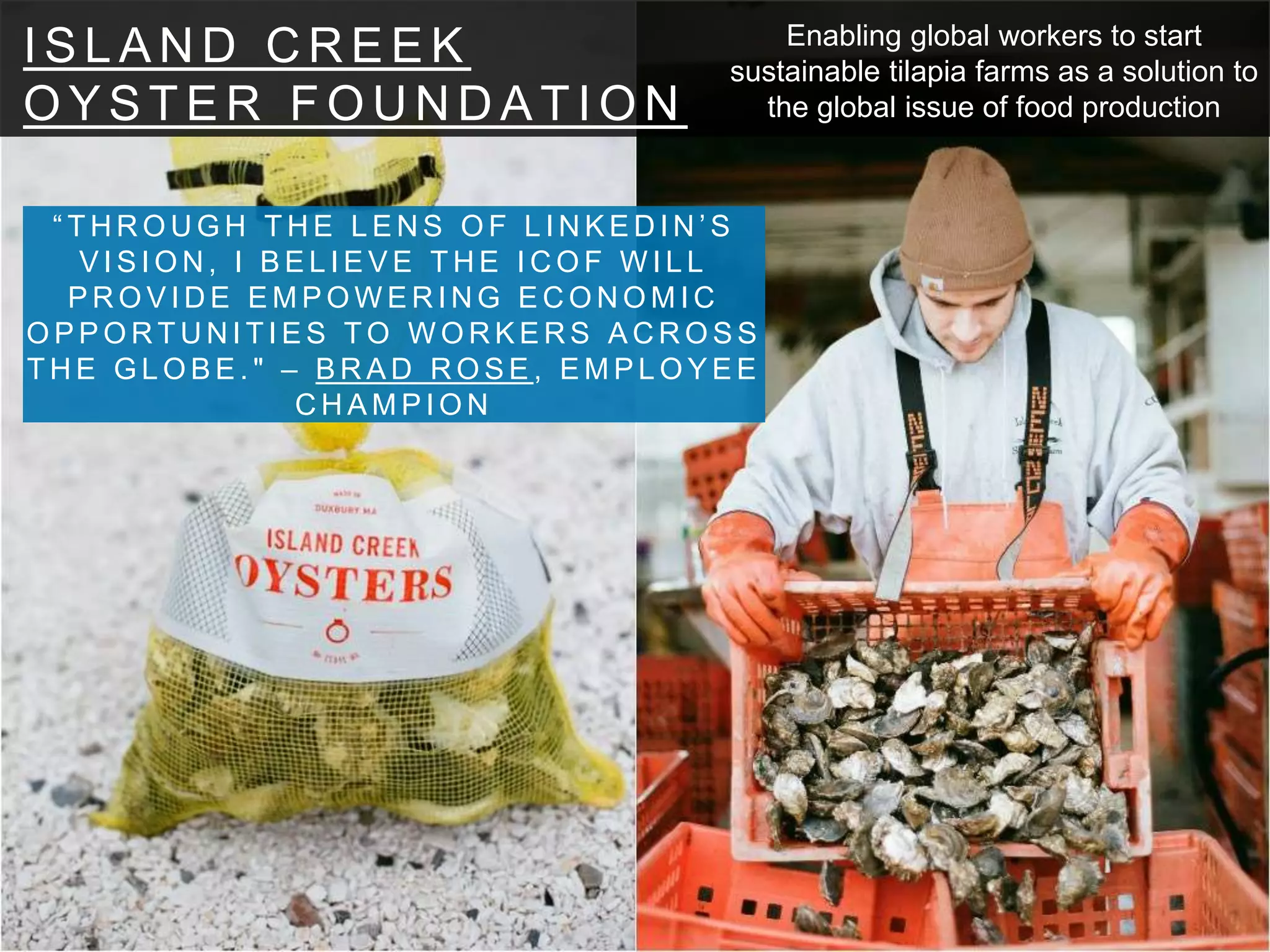 I S L A N D C R E E K
O Y S T E R F O U N D A T I O N
“ T H R O U G H T H E L E N S O F L I N K E D I N ’ S
V I S I O N , I B E L I E V E T H E I C O F W I L L
P R O V I D E E M P O W E R I N G E C O N O M I C
O P P O R T U N I T I E S T O W O R K E R S A C R O S S
T H E G L O B E . " – B R A D R O S E , E M P L O Y E E
C H A M P I O N
Enabling global workers to start
sustainable tilapia farms as a solution to
the global issue of food production
 