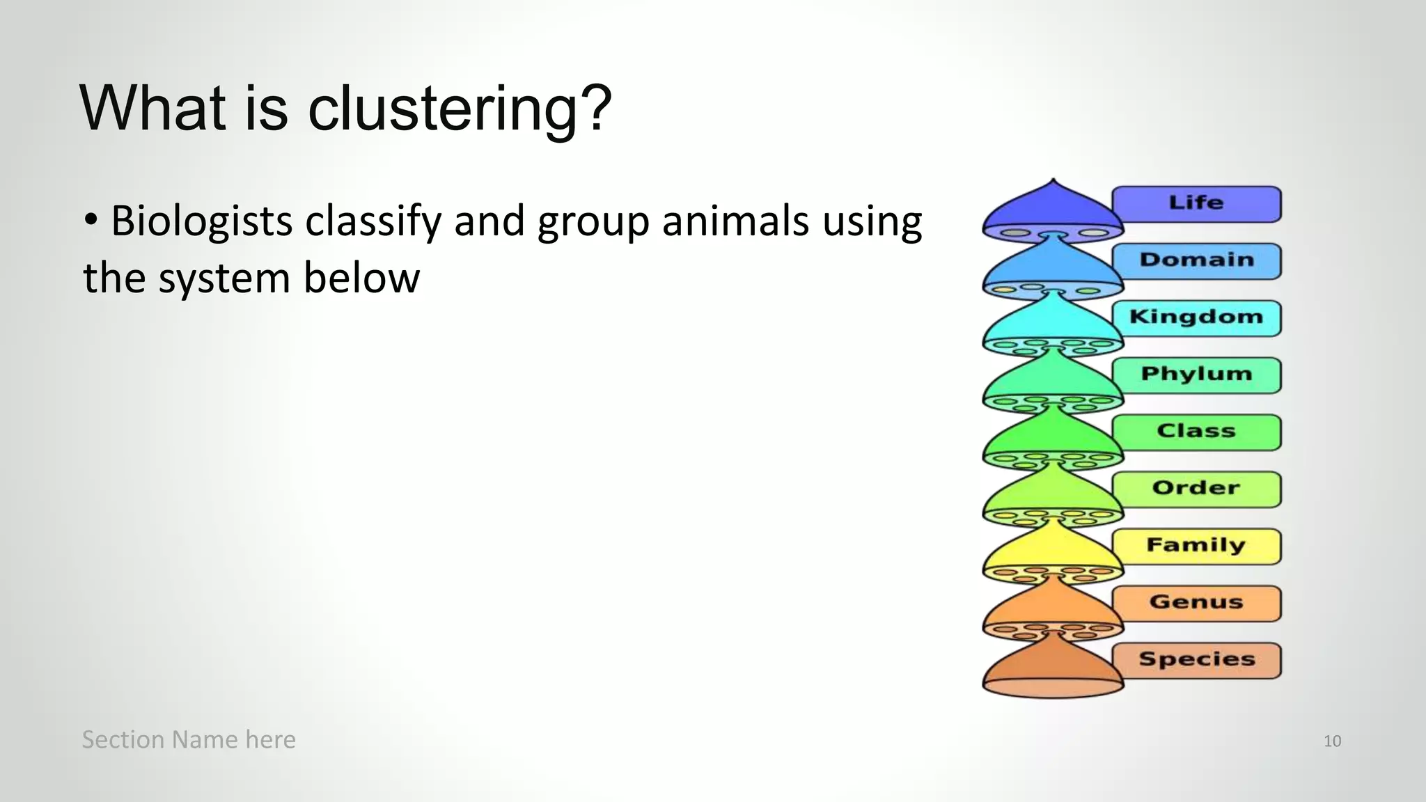 • Biologists classify and group animals using
the system below
What is clustering?
Section Name here 10
 