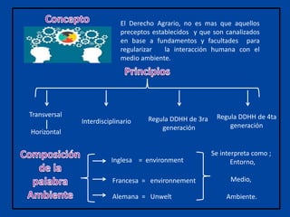 El Derecho Agrario, no es mas que aquellos
preceptos establecidos y que son canalizados
en base a fundamentos y facultades para
regularizar la interacción humana con el
medio ambiente.
Transversal
Horizontal
Interdisciplinario Regula DDHH de 3ra
generación
Regula DDHH de 4ta
generación
Inglesa = environment
Francesa = environnement
Alemana = Unwelt
Se interpreta como ;
Entorno,
Medio,
Ambiente.
 