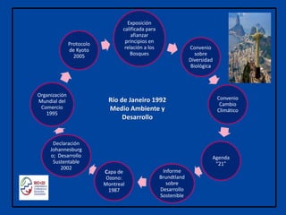 Exposición
calificada para
afianzar
principios en
relación a los
Bosques
Convenio
sobre
Diversidad
Biológica
Convenio
Cambio
Climático
Agenda
“21”
Informe
Brundtland
sobre
Desarrollo
Sostenible
Capa de
Ozono:
Montreal
1987
Declaración
Johannesburg
o; Desarrollo
Sustentable
2002
Organización
Mundial del
Comercio
1995
Protocolo
de Kyoto
2005
Río de Janeiro 1992
Medio Ambiente y
Desarrollo
 