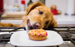 Focus
What do they want?
 