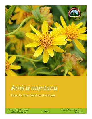 Arnica montana
Report by: Sham Mohammed Nihal jalal
University of Sulaymaniyah-
college of pharmacy
12/29/23
Practical Pharmacognosy I
Stage- 3
 