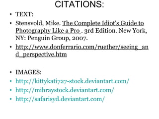 Perspective Presentation