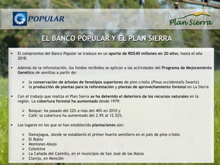 EL BANCO POPULAR Y EL PLAN SIERRA
   El compromiso del Banco Popular se traduce en un aporte de RD$40 millones en 20 años, hasta el año
    2018.

   Además de la reforestación, los fondos recibidos se aplican a las actividades del Programa de Mejoramiento
    Genético de semillas a partir de:

       la conservación de árboles de fenotipos superiores de pino criollo (Pinus occidentalis Swartz)
       la producción de plantas para la reforestación y plantas de aprovechamiento forestal en La Sierra

   Con el trabajo que realiza el Plan Sierra se ha detenido el deterioro de los recursos naturales en la
    región. La cobertura forestal ha aumentado desde 1979:

       Bosque: ha pasado del 22% a más del 40% en 2010 y
       Café: la cobertura ha aumentado del 2.9% al 12.52%.

   Los lugares en los que se han establecido plantaciones son:

         Damajagua, donde se estableció el primer huerto semillero en el país de pino criollo
         El Rubio
         Montones Abajo
         Celestina
         La Cañada del Caimito, en el municipio de San José de las Matas
         Clavijo, en Monción
 