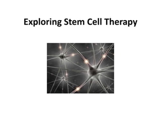 Exploring Stem Cell Therapy
 