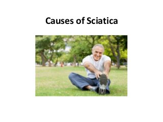Causes of Sciatica
 