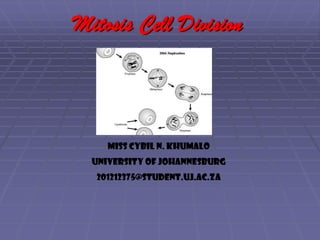 Mitosis Cell Division

Miss Cybil N. Khumalo
University of Johannesburg
201212375@student.uj.ac.za

 