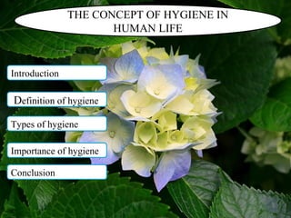 THE CONCEPT OF HYGIENE IN HUMAN LIFE Introduction D efinition of hygiene Types of hygiene Importance of hygiene Conclusion 