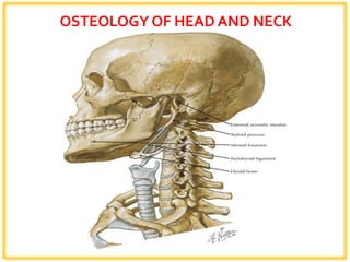 OSTEOLOGY OF HEAD AND NECK
 