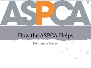 How the ASPCA Helps
Dominique Lepper
 
