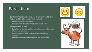 Parasitism
• Symbiotic relationship where one organism benefits or is
helped and the other organism is harmed.
• Parasite: organism that benefits
• Host: organism that is harmed, but not usually killed
• Example: Dogs & Fleas
• Dogs have an allergic reactions to the fleas and the fleas have
a home and gets food.
• Dog is harmed by being bitten and having an allergic
reaction.
• Flea benefits by having a place to live and getting food.
 