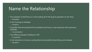 Name the Relationship
• The oxpecker (a bird) lives on a rhino eating all of the bugs & parasites on the rhino.
• Mutualism
• A lion hunting an antelope.
• Predation
• Clownfish that are protected from predators by living in a sea anemone with poisonous
tentacles.
• Commensalism
• Two different penguins feeding on fish.
• Competition
• A tick attaches to a human, sucking blood and possibly transmitting Lyme disease.
• Parasitism
 