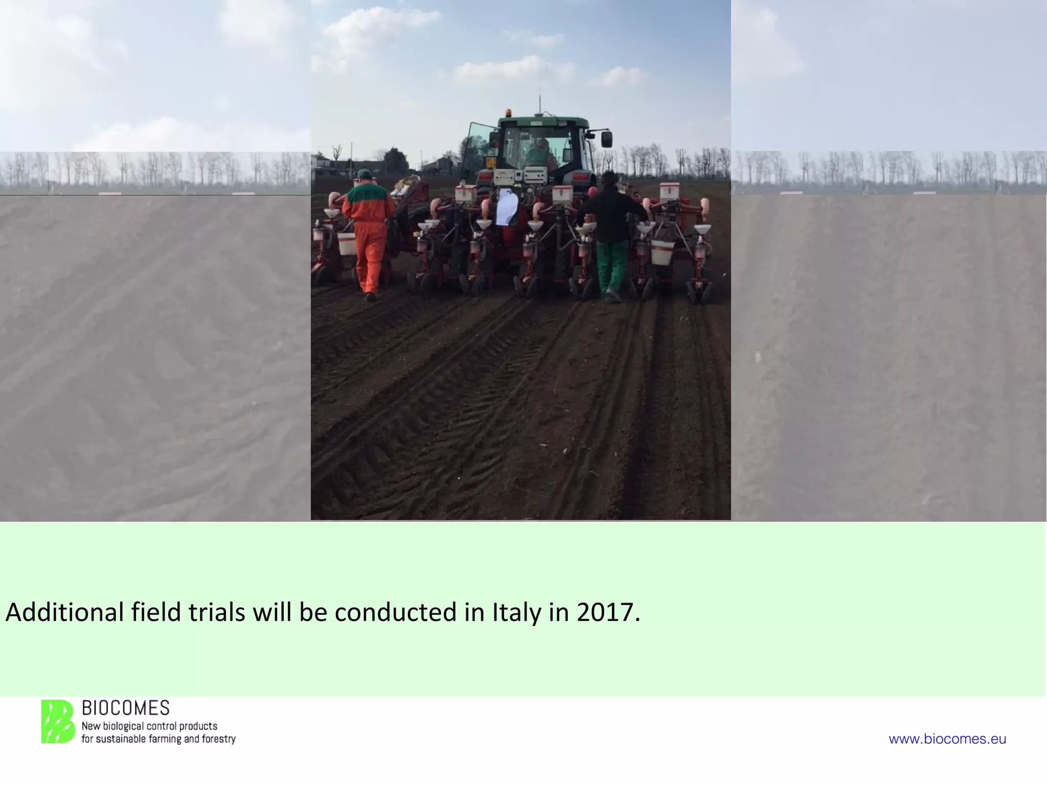 www.biocomes.eu
Additional field trials will be conducted in Italy in 2017.
 