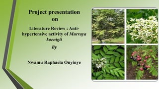Project presentation
on
Literature Review : Anti-
hypertensive activity of Murraya
koenigii
By
Nwamu Raphaela Onyinye
 
