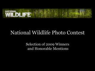 National Wildlife Photo ContestSelection of 2009 Winners and Honorable Mentions 