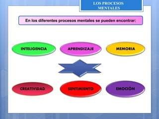En los diferentes procesos mentales se pueden encontrar:
INTELIGENCIA APRENDIZAJE MEMORIA
CREATIVIDAD SENTIMIENTO EMOCIÓN
LOS PROCESOS
MENTALES
 