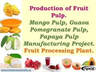 www.entrepreneurindia.co
Production of Fruit
Pulp.
Mango Pulp, Guava
Pomegranate Pulp,
Papaya Pulp
Manufacturing Project.
...