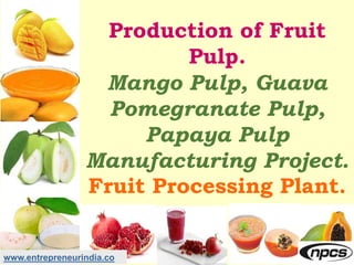 www.entrepreneurindia.co
Production of Fruit
Pulp.
Mango Pulp, Guava
Pomegranate Pulp,
Papaya Pulp
Manufacturing Project.
Fruit Processing Plant.
 