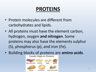 PROTEINS
• Protein molecules are different from
carbohydrates and lipids.
• All proteins must have the element carbon,
hydrogen, oxygen and nitrogen. Some
proteins may also have the elements sulphur
(S), phosphorus (p), and iron (Fe).
• Building blocks of proteins are amino acids.
13
 