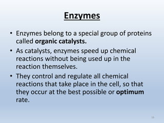 Enzymes
• Enzymes belong to a special group of proteins
called organic catalysts.
• As catalysts, enzymes speed up chemical
reactions without being used up in the
reaction themselves.
• They control and regulate all chemical
reactions that take place in the cell, so that
they occur at the best possible or optimum
rate.
16
 