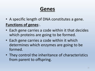 Genes
• A specific length of DNA constitutes a gene.
Functions of genes:.
• Each gene carries a code within it that decides
which proteins are going to be formed.
• Each gene carries a code within it which
determines which enzymes are going to be
formed.
• They control the inheritance of characteristics
from parent to offspring.
22
 