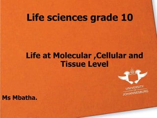 Life sciences grade 10
Life at Molecular ,Cellular and
Tissue Level
Ms Mbatha.
 