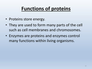 Functions of proteins
• Proteins store energy.
• They are used to form many parts of the cell
such as cell membranes and chromosomes.
• Enzymes are proteins and enzymes control
many functions within living organisms.
15
 