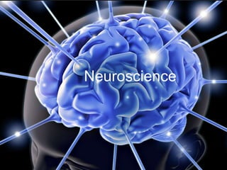 Neuroscience
 