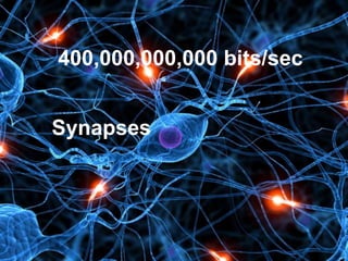 24
400,000,000,000 bits/sec
Synapses
 